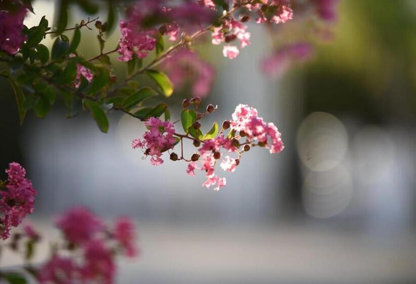 Peperosa B&b And Events