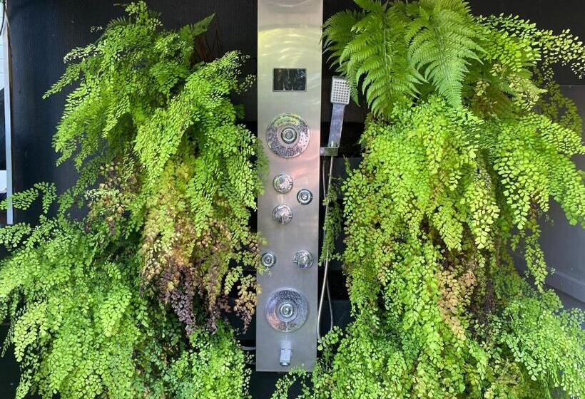 مبيت وإفطار Freshwater Bnb