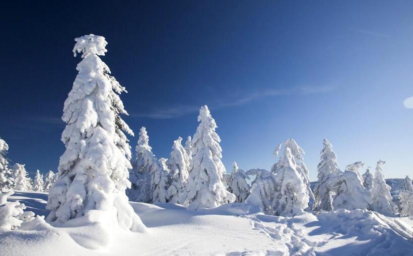 Golden Circle Suites