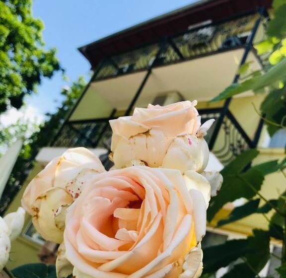 هتل Vila Yzabelle