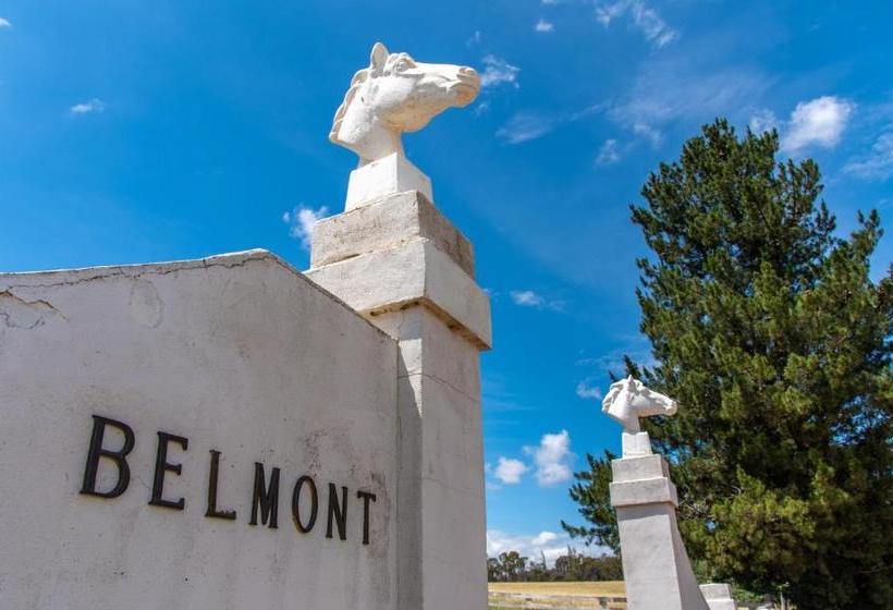 بنسيون Belmont