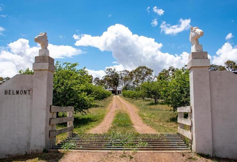 بنسيون Belmont