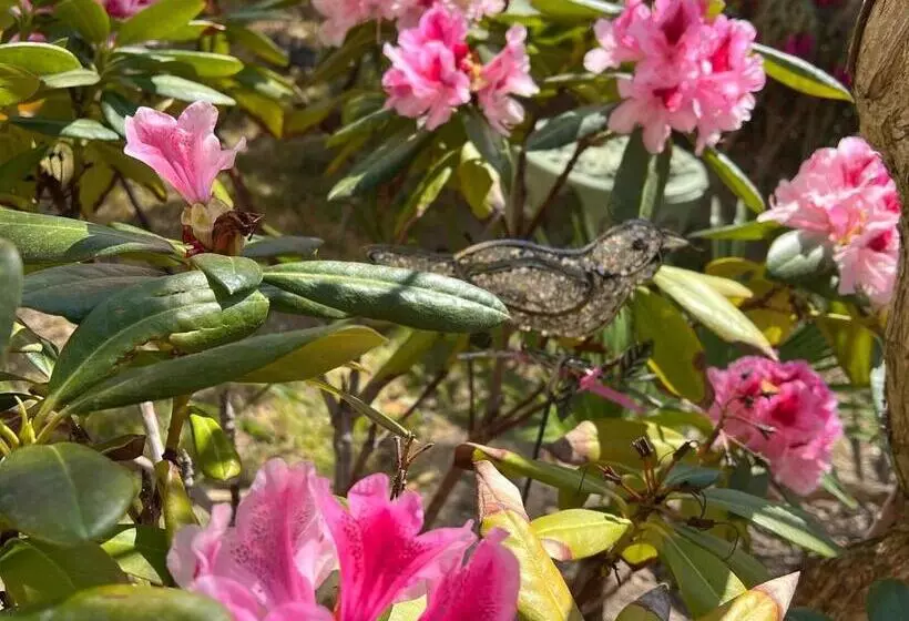 Majatalo Domaine La Condamine Crillon Le Brave