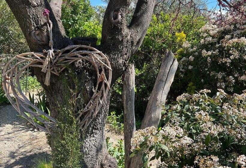 פנסיון Domaine La Condamine Crillon Le Brave