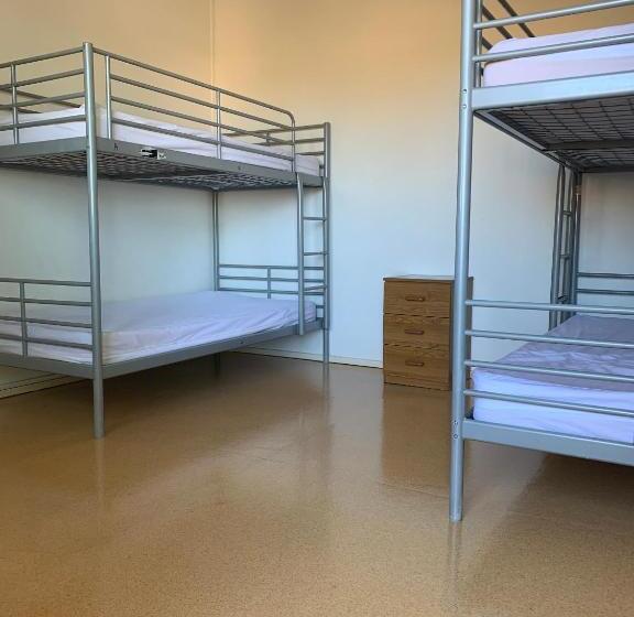 Общежитие Roey Backpackers And Party Bar