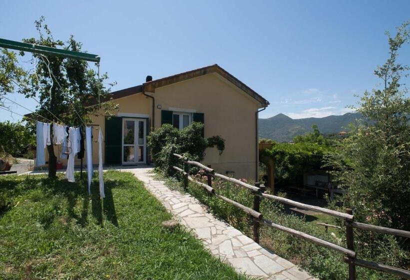 B&b La Casa Dei Gelsi