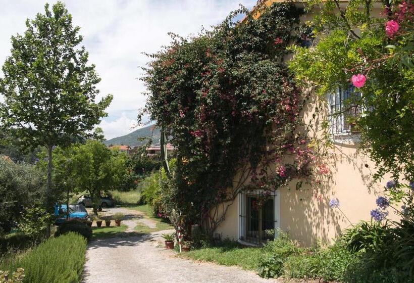 B&b La Casa Dei Gelsi