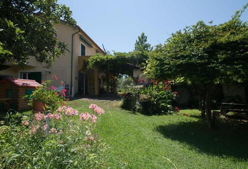 B&b La Casa Dei Gelsi