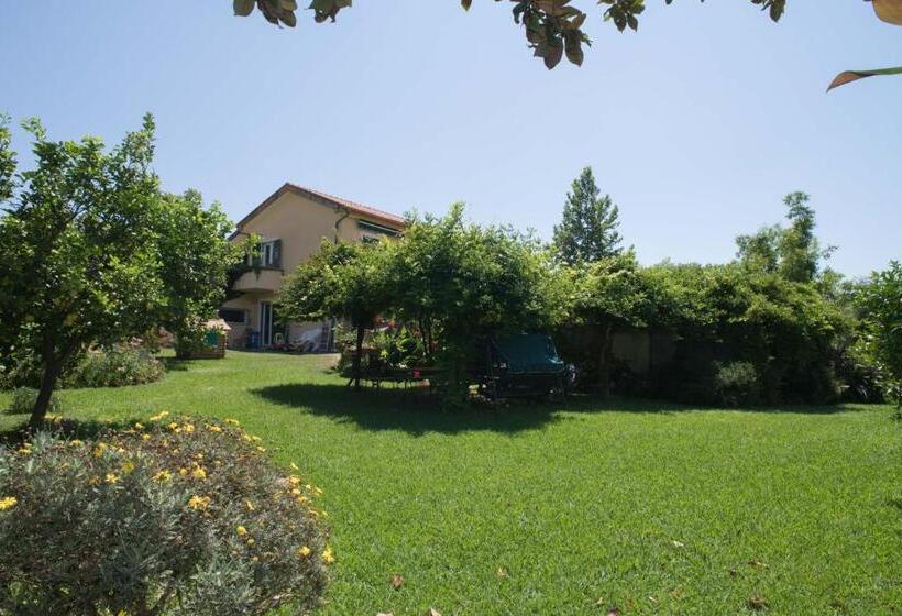 B&b La Casa Dei Gelsi