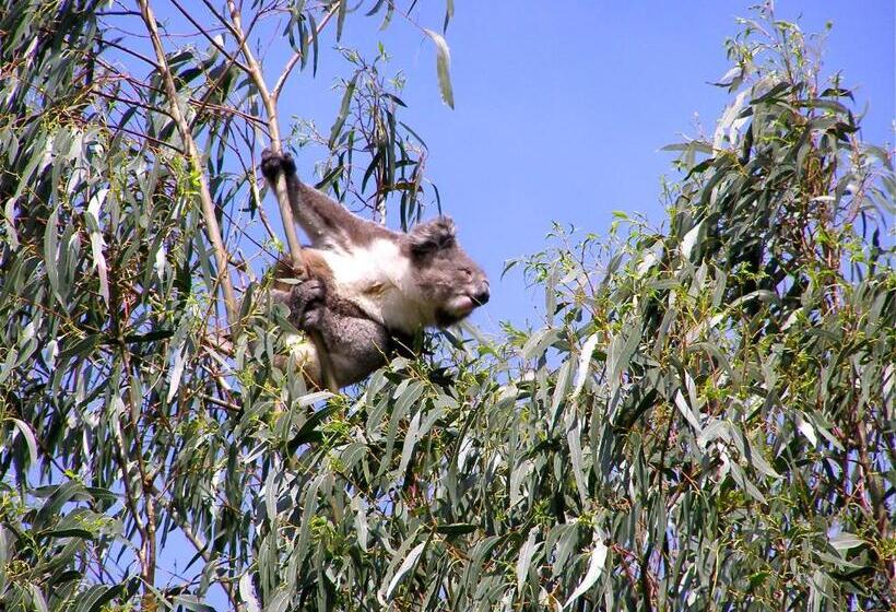 Llarrinda Bed & Breakfast