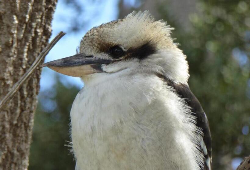 Llarrinda Bed & Breakfast