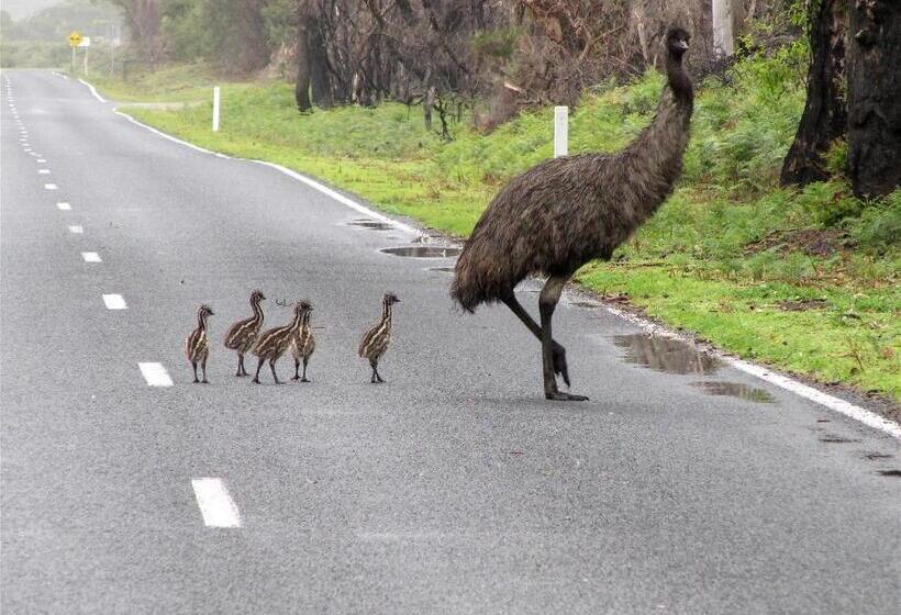 Llarrinda Bed & Breakfast