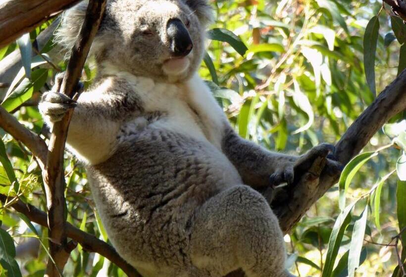 Llarrinda Bed & Breakfast