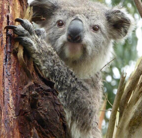 Llarrinda Bed & Breakfast