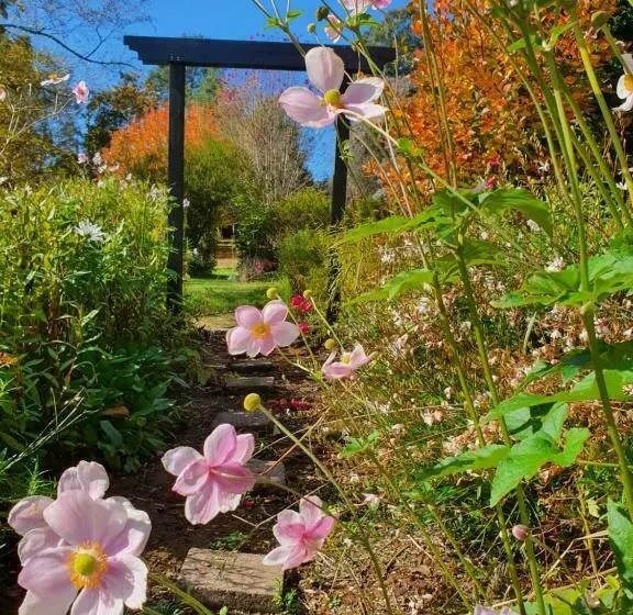 Majatalo Oaktree Guest House