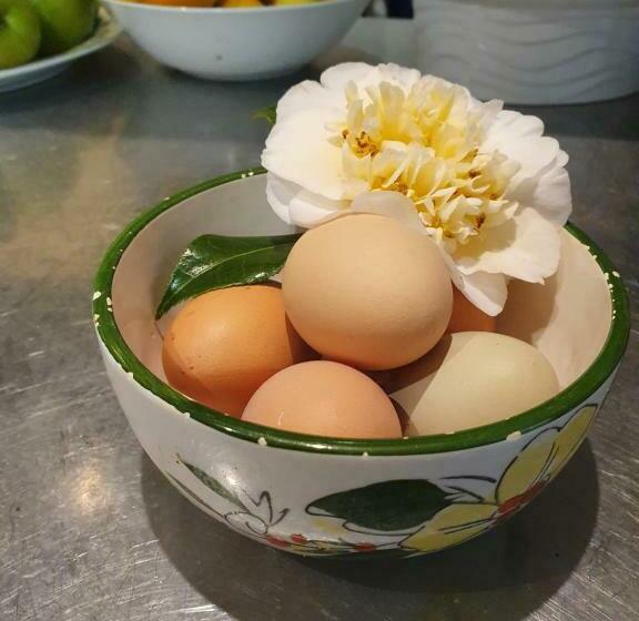 פנסיון Oaktree Guest House