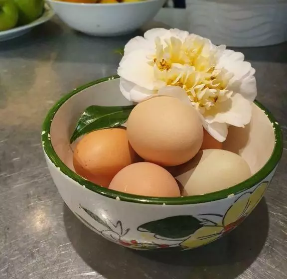 Majatalo Oaktree Guest House