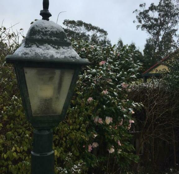 פנסיון Oaktree Guest House