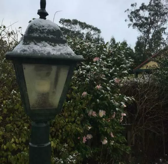 Majatalo Oaktree Guest House