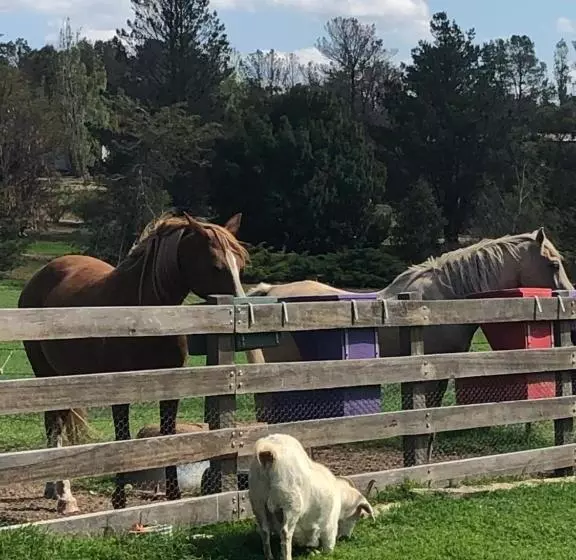 Alpine Country Motel And Metro Roadhouse Cooma