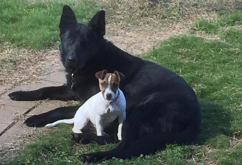 Alpine Country Motel And Metro Roadhouse Cooma
