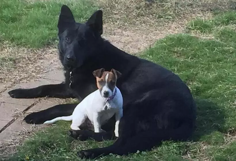 Alpine Country Motel And Metro Roadhouse Cooma