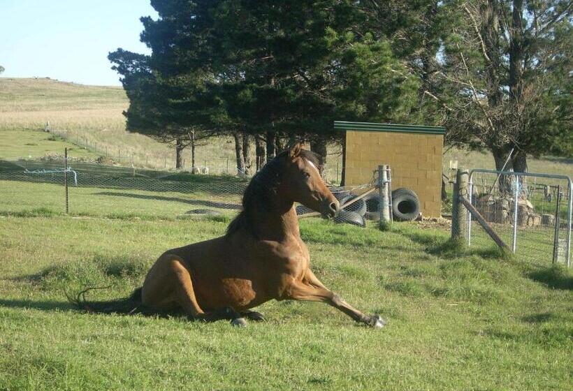 Alpine Country Motel And Metro Roadhouse Cooma