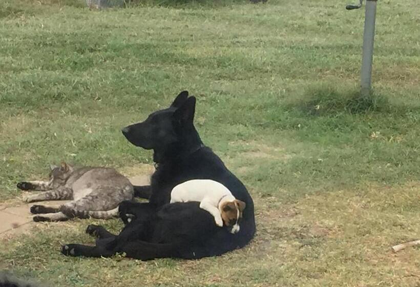 Alpine Country Motel And Metro Roadhouse Cooma