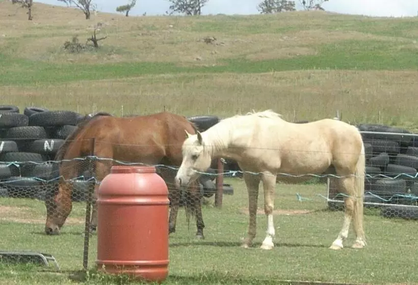 Alpine Country Motel And Metro Roadhouse Cooma