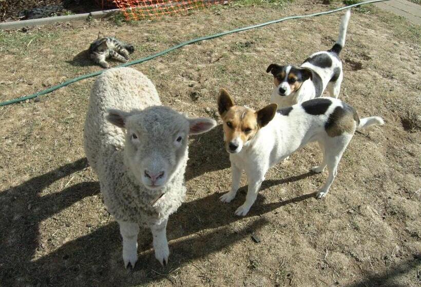 Alpine Country Motel And Metro Roadhouse Cooma