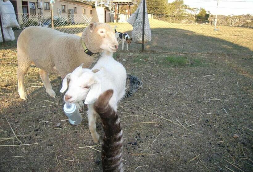 Alpine Country Motel And Metro Roadhouse Cooma