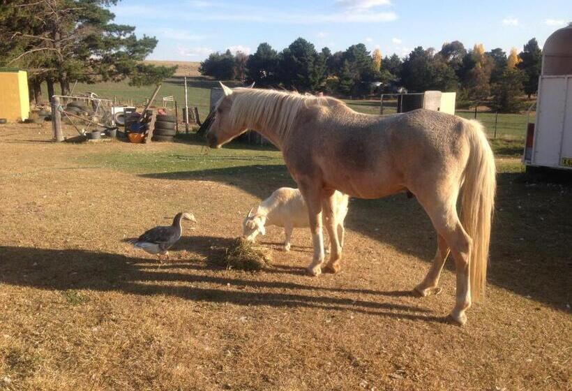 Alpine Country Motel And Metro Roadhouse Cooma