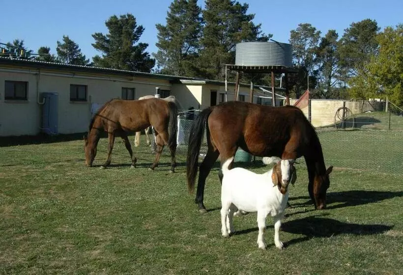 Alpine Country Motel And Metro Roadhouse Cooma