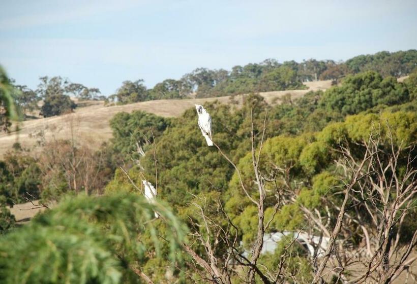 בית מלון כפרי Mancuso Country Cottage Retreat