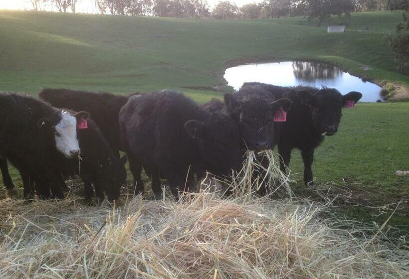 בית מלון כפרי Mancuso Country Cottage Retreat