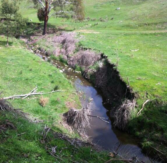 בית מלון כפרי Mancuso Country Cottage Retreat