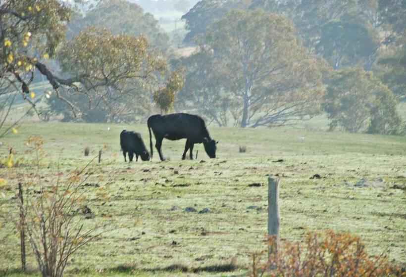 בית מלון כפרי Mancuso Country Cottage Retreat