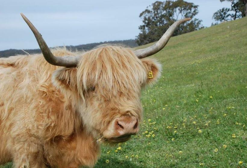 בית מלון כפרי Mancuso Country Cottage Retreat