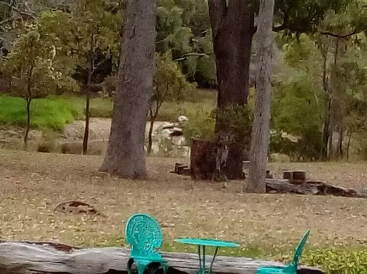 Pension Marri Lodge & Cottages