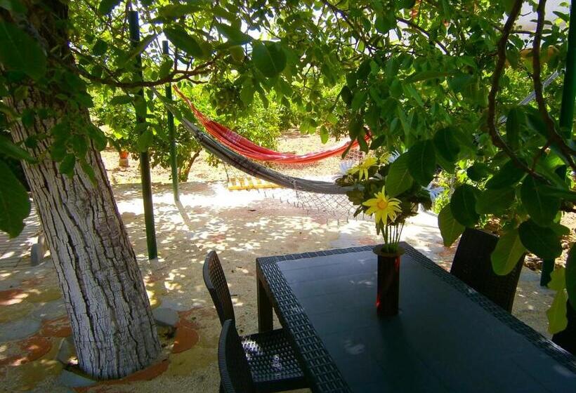 Bed And Breakfast L' Aranciera