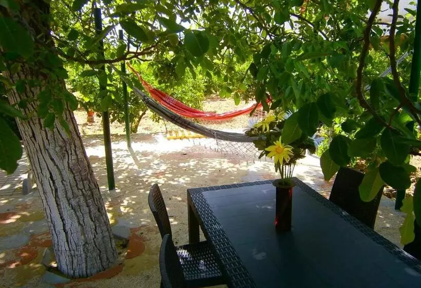 Bed And Breakfast L' Aranciera