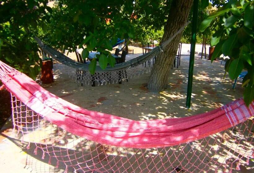 Bed And Breakfast L' Aranciera