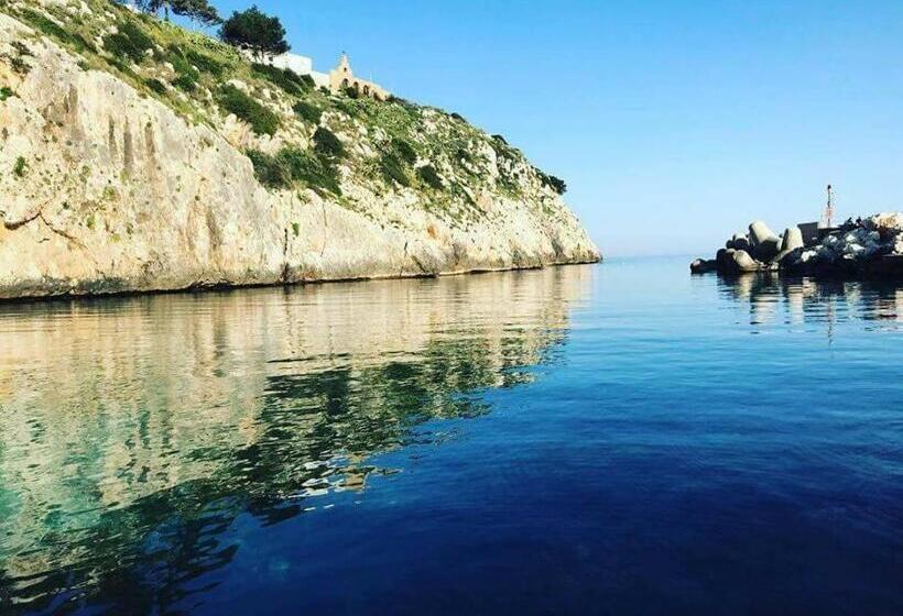 住宿加早餐  Le Grotte