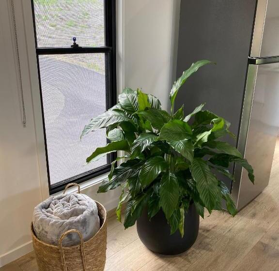 Bed and Breakfast Montville Misty View Cottages