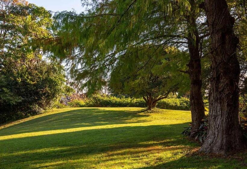 Bed and Breakfast Montville Misty View Cottages