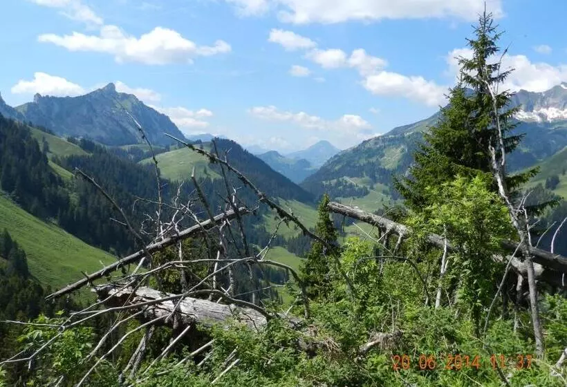 Aamiaismajoitus (B&B) Waldruhe
