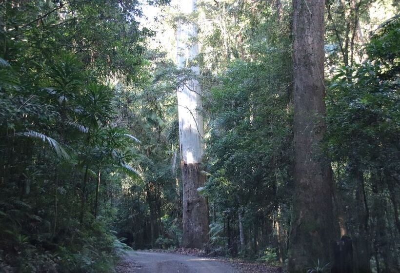 City Centre Motel Kempsey