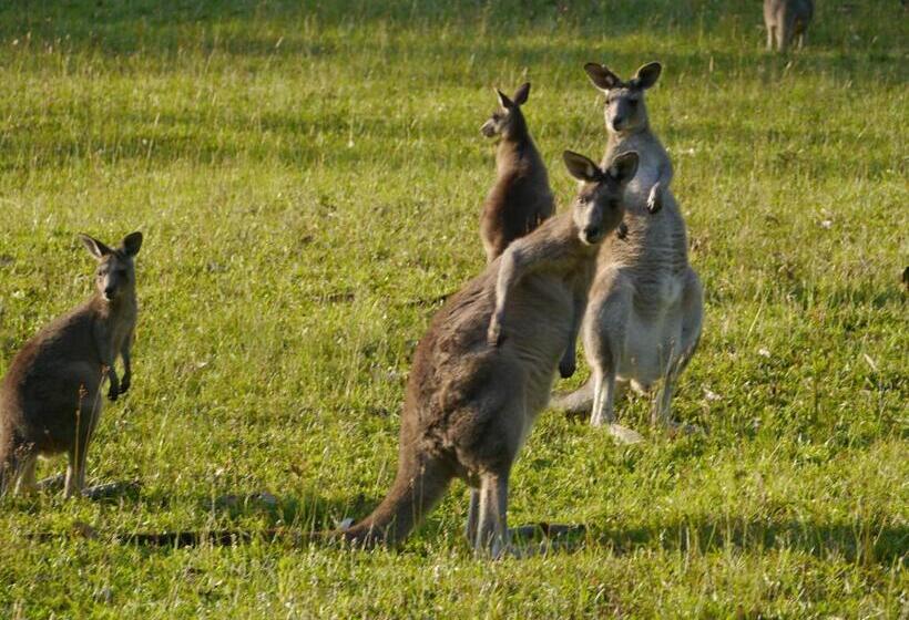 Dungowan Holiday Accommodation