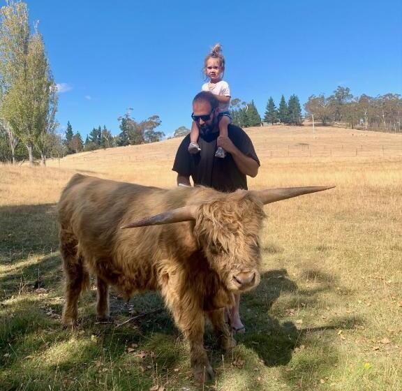 호텔 Heimat Farmstay