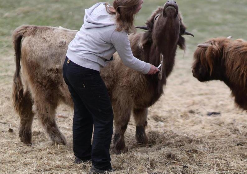 호텔 Heimat Farmstay